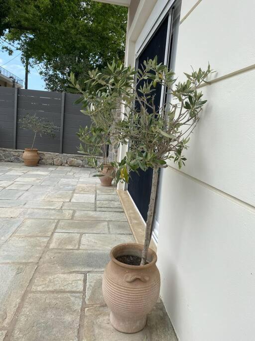Villa Oleander Agios Nikolaos Loutra Edipsou ภายนอก รูปภาพ